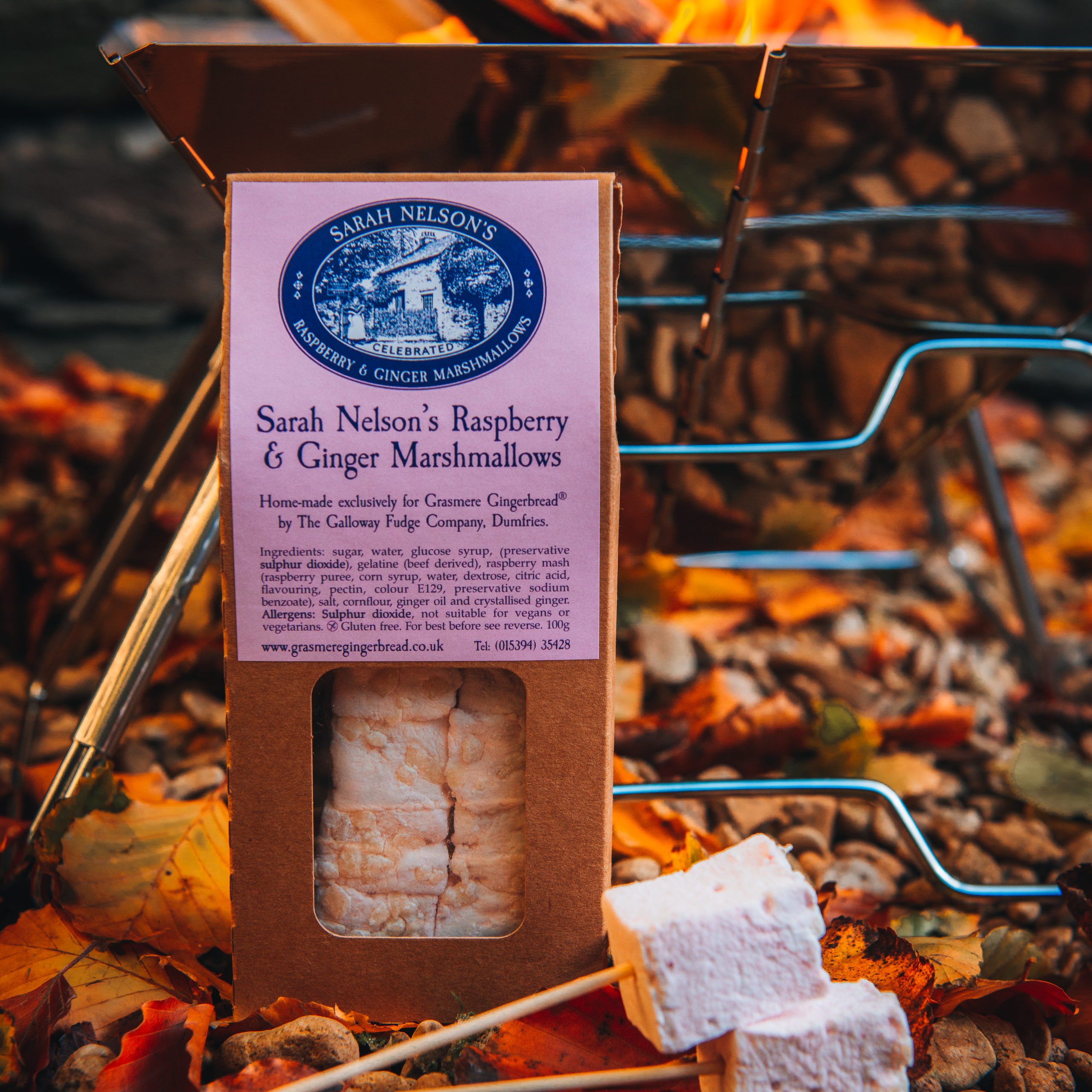 Sarah Nelson's Special S'mores Trio | Grasmere Gingerbread